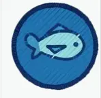 Fishing Badge