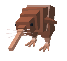Kiwi bird from 99 Nights in the Forest