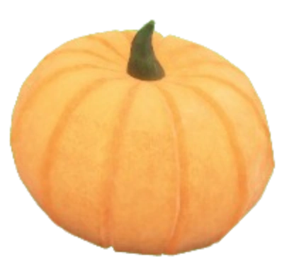 Pumpkin from 99 Nights in the Forest
