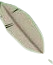 Feather item from Snow Biome
