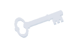Grey Key hidden in forest